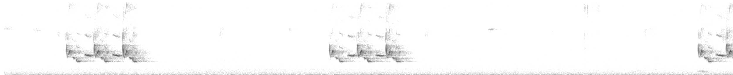 Carolina Wren - ML208804141