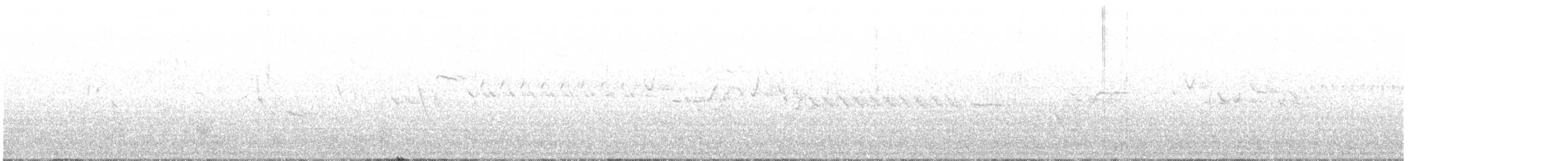 Chochín Paleártico (islandicus) - ML208866811