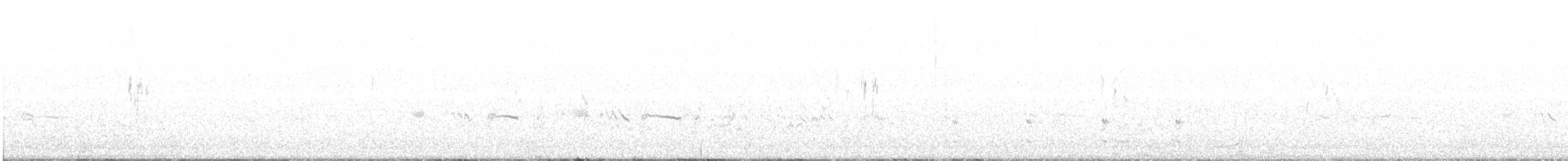 Bergeronnette grise (alba/dukhunensis) - ML208873161