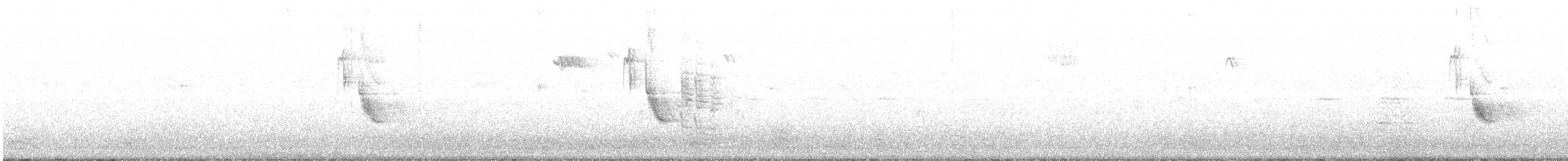 Синиця велика - ML208910961