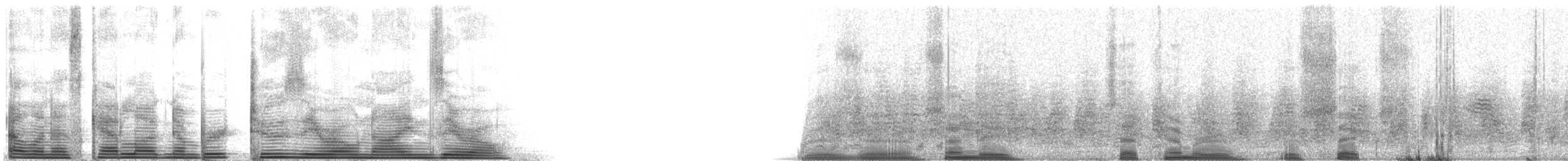 Kahnschnabelreiher [zeledoni-Gruppe] - ML2090