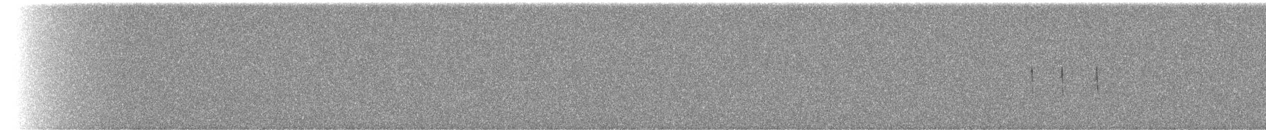 Tinamou orné - ML209006791