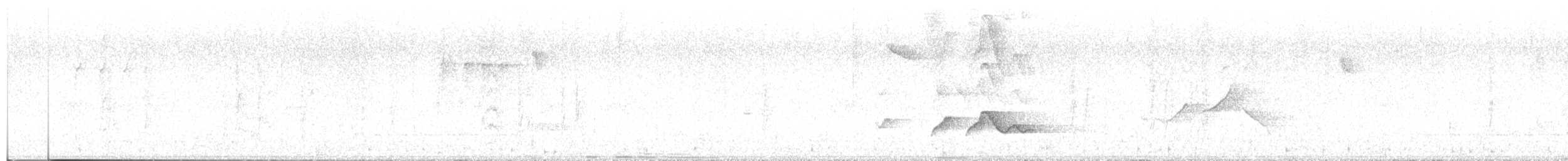 hvitskjegglattertrost - ML209085821