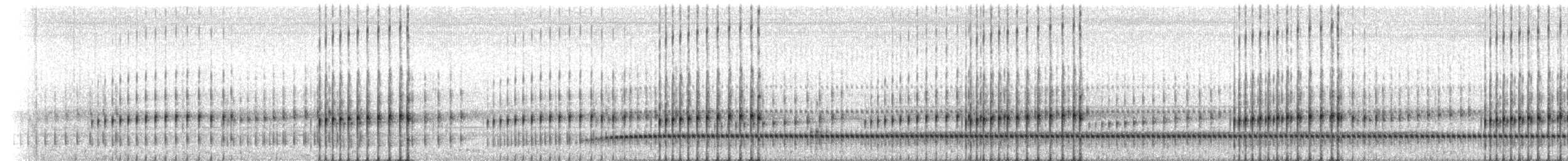 Striped Chorus Frog - ML209093