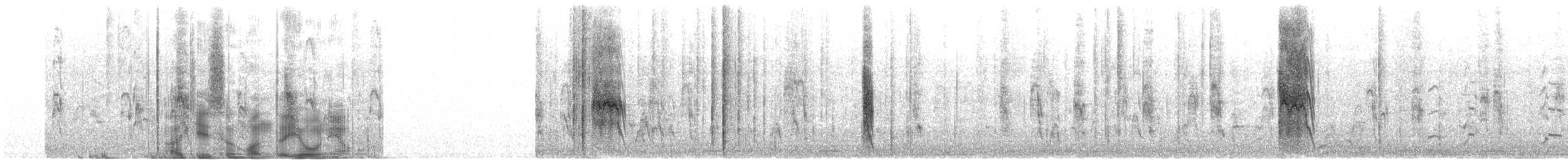 Ibis sacré - ML209095311