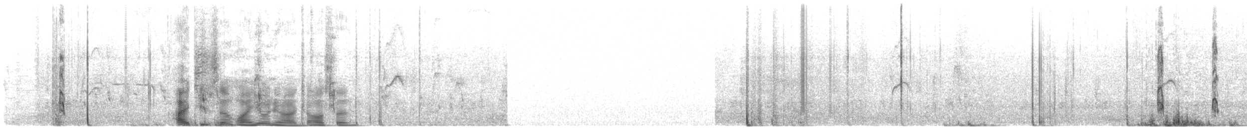 Ibis sacré - ML209095331