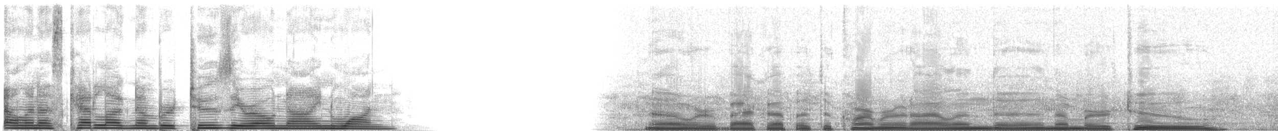Kahnschnabelreiher [zeledoni-Gruppe] - ML2091