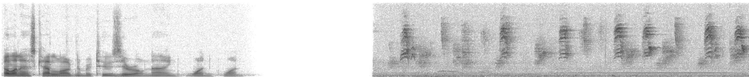 Magnolia Warbler - ML20911