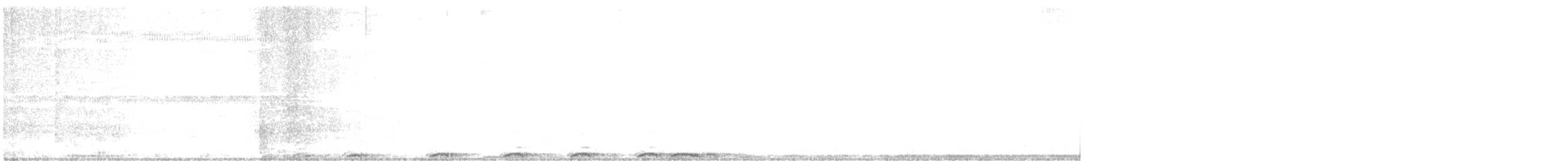Barred Owl - ML209114311