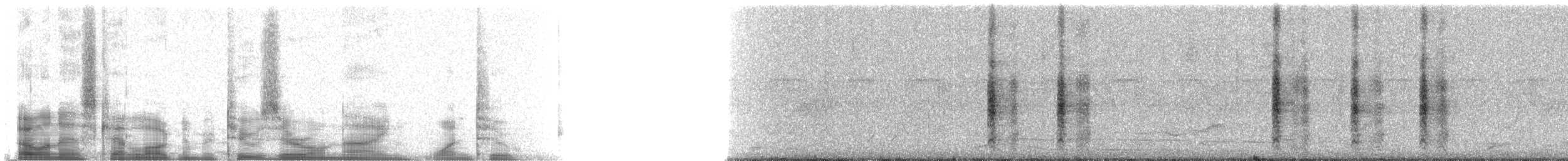 Golden-fronted Woodpecker (Velasquez's) - ML20912