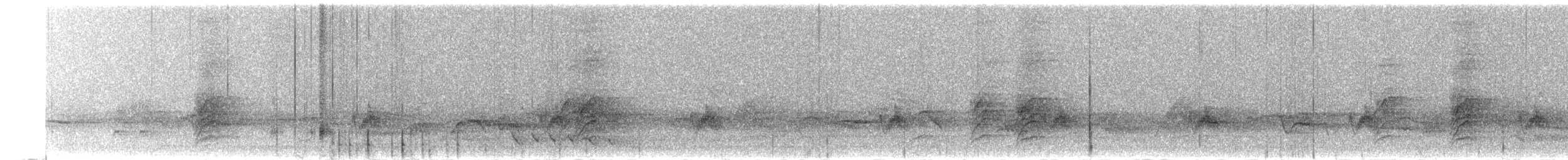 drozd falklandský - ML209136901