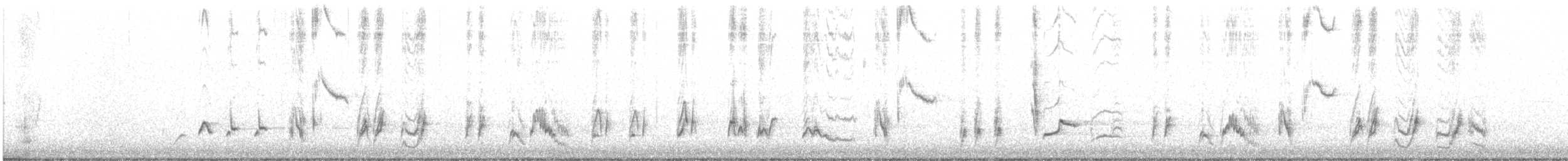 kaktusspottefugl (palmeri gr.) - ML209138221