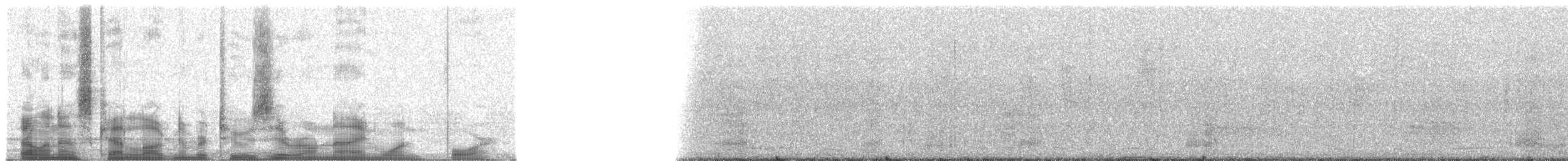 Orange-fronted Parakeet - ML20914