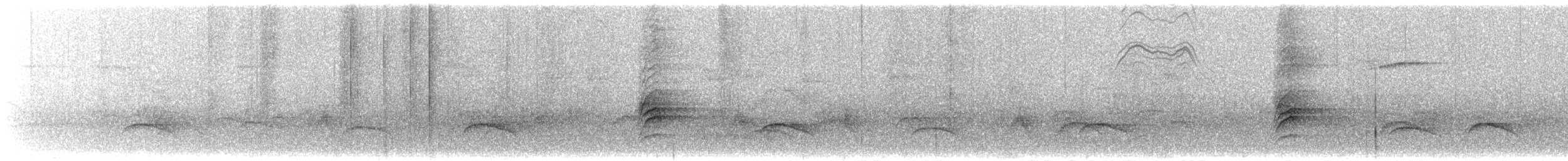 drozd falklandský - ML209140981