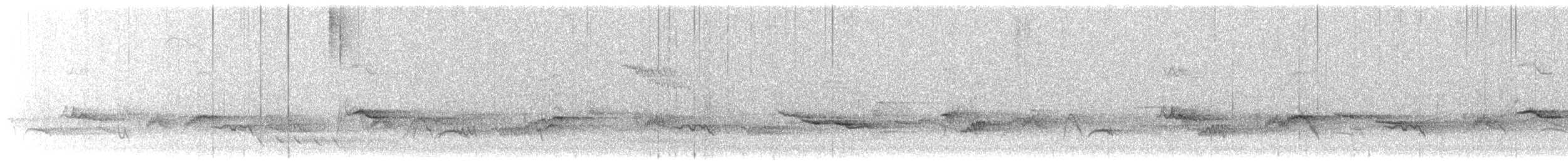 drozd falklandský - ML209141531