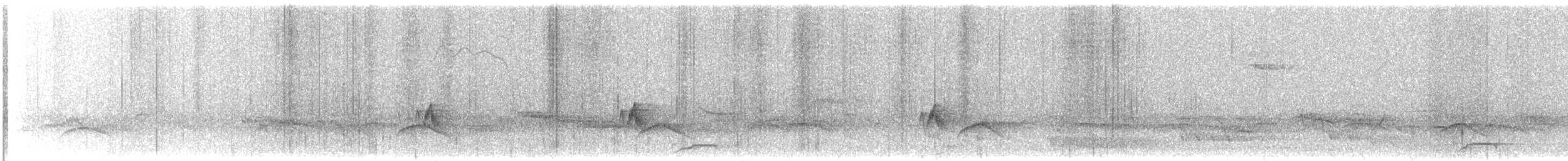 Chucao Tapaculo - ML209143551