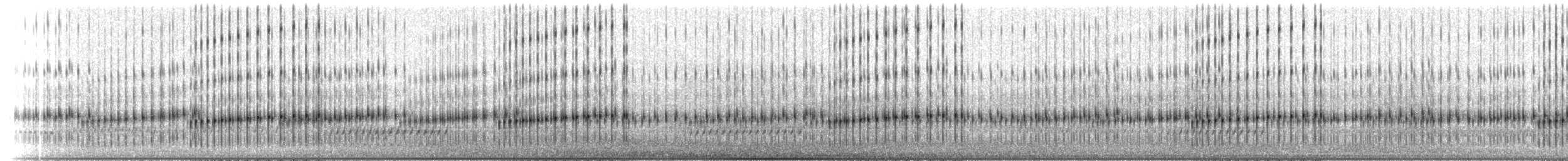Striped Chorus Frog - ML209148