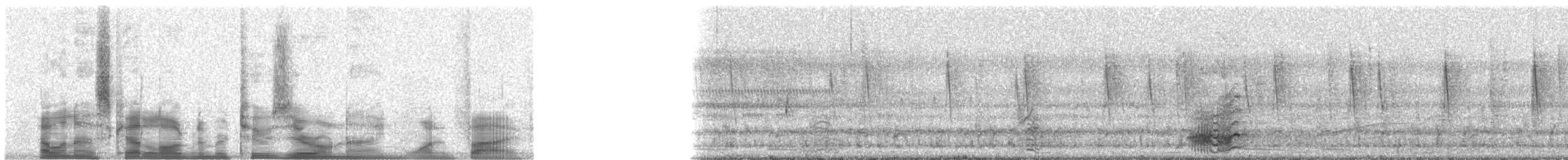 Yellow-naped Amazon - ML20915