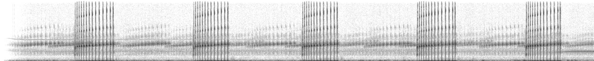 Striped Chorus Frog - ML209158