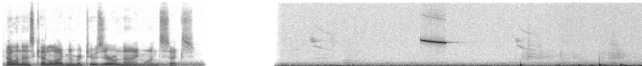 Scrub Euphonia (Scrub) - ML20916