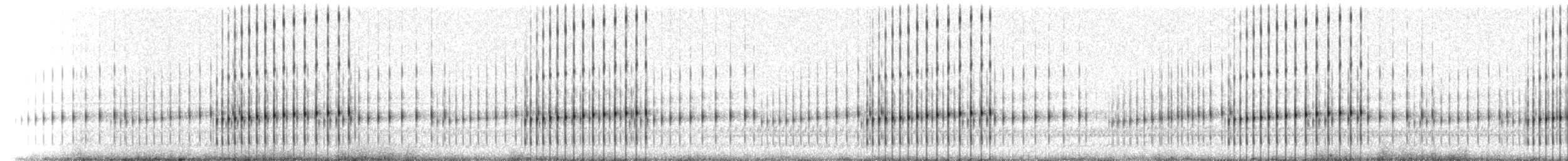 Striped Chorus Frog - ML209161