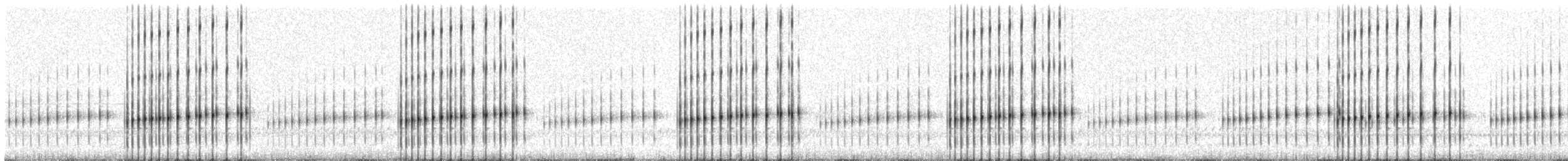 Striped Chorus Frog - ML209162