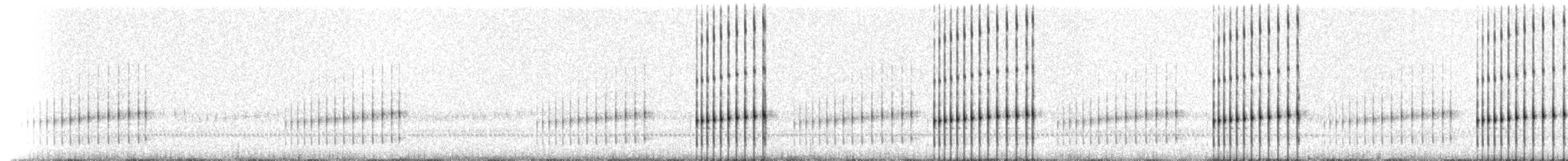 Striped Chorus Frog - ML209163
