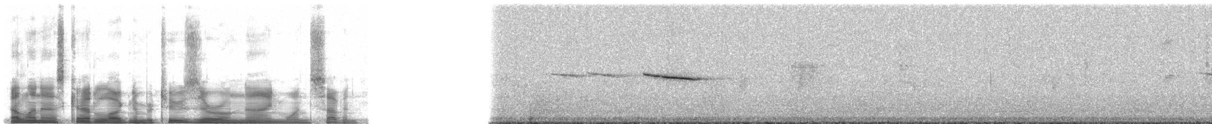 Scrub Euphonia (Scrub) - ML20917