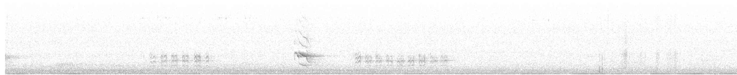Weißbrustkleiber - ML209174711