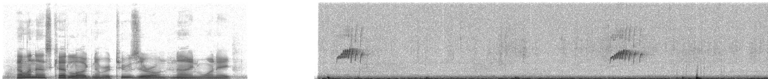 Northern Tropical Pewee - ML20918