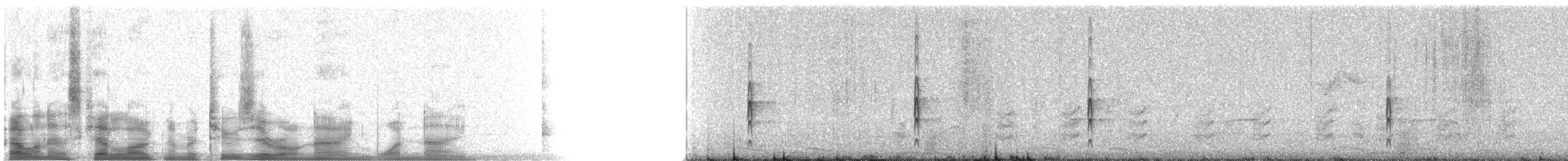 Couch's Kingbird - ML20919