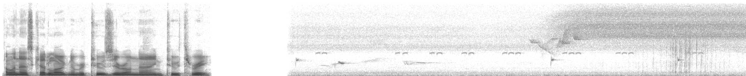 Banded Wren - ML20923