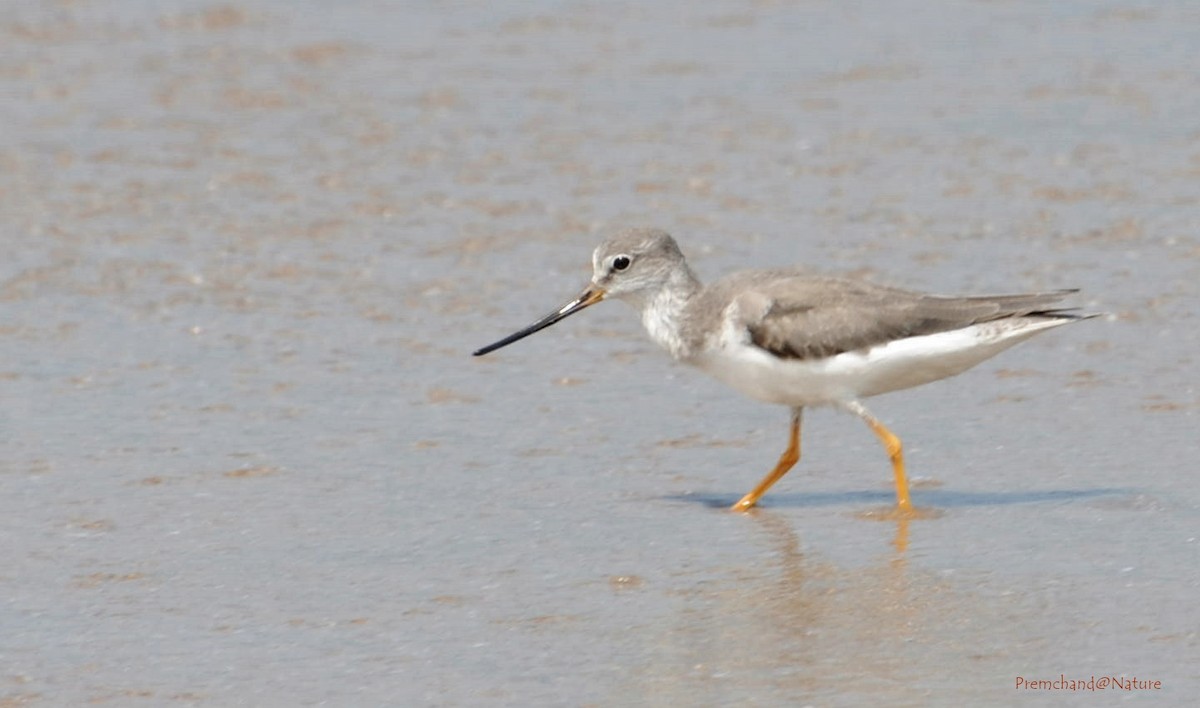 Матигар хөгчүү - ML20924051