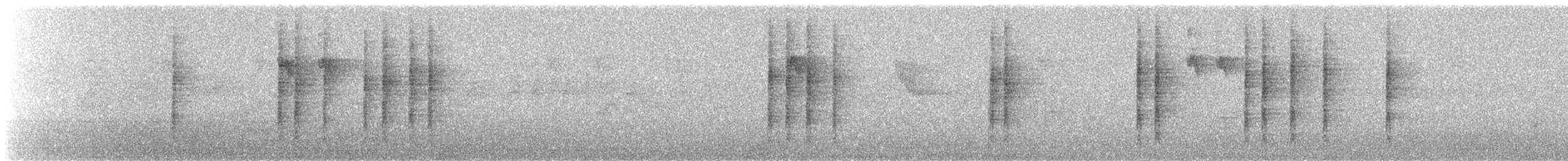 Méliphage de Nouvelle-Hollande - ML209254651