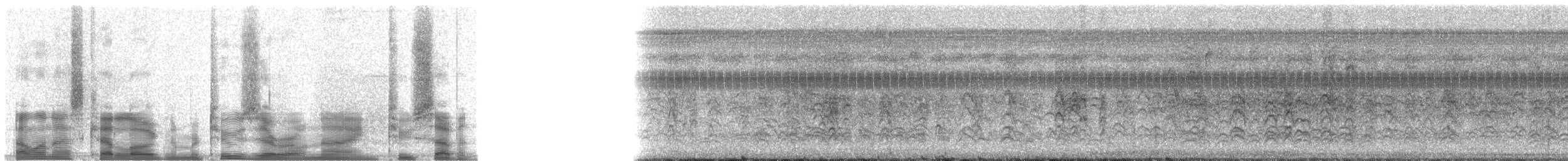 Sporophile de Morelet - ML20927