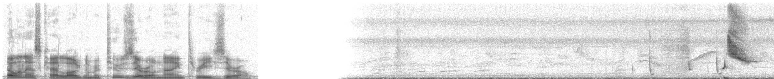 Melodious Blackbird - ML20930