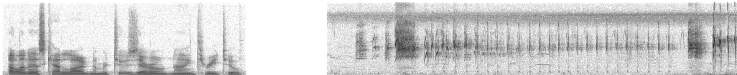 Northern Jacana - ML20932