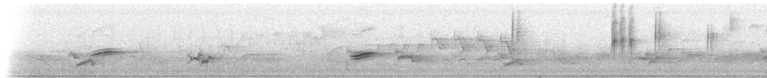 Eastern Towhee - ML209331