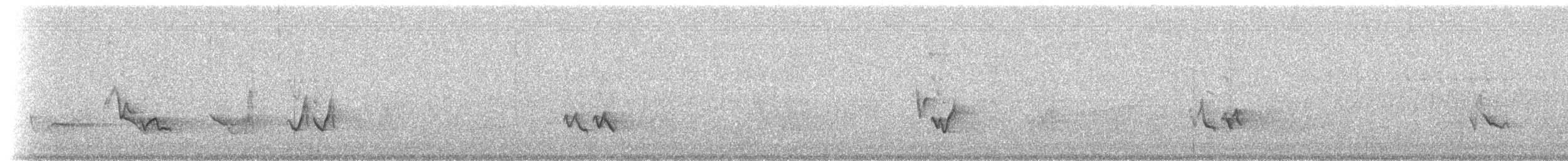 vireo sp. - ML209337