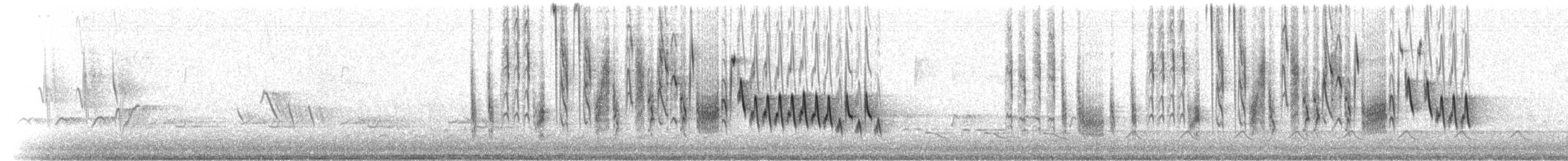 Northern House Wren (Northern) - ML209344