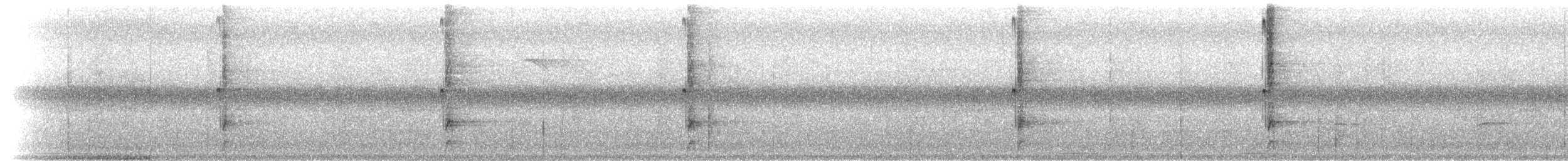 American Red Squirrel - ML209350