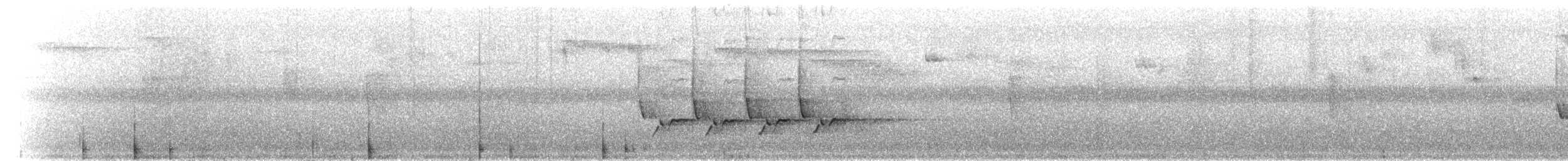 Carolina Wren - ML209353