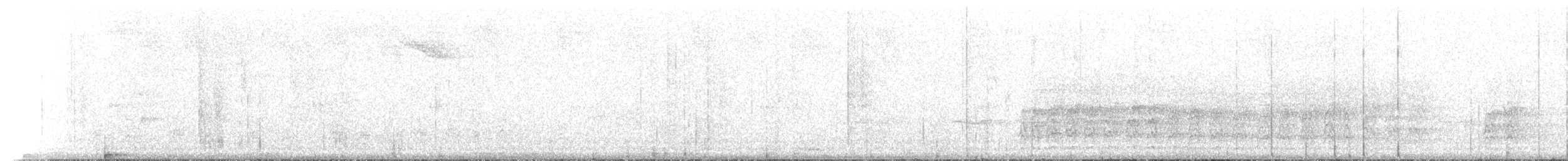 Acorn Woodpecker (Acorn) - ML209435