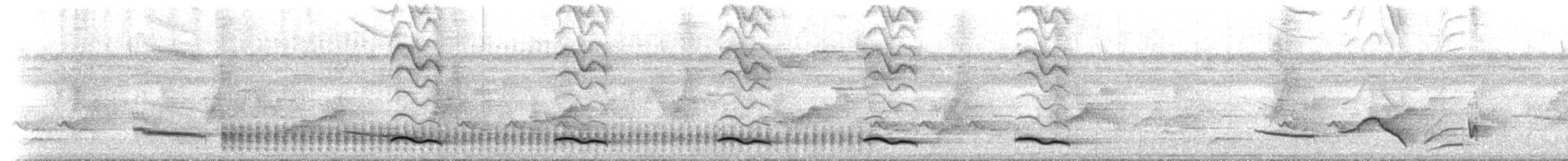 クロツリスドリ（holosericeus／flavirostris） - ML209479