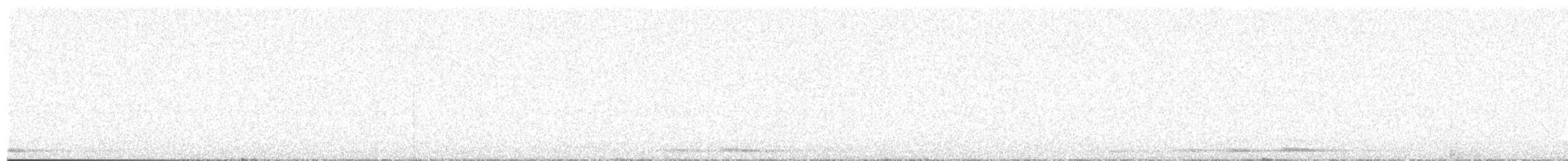 Кукушечья иглоногая сова - ML209494511