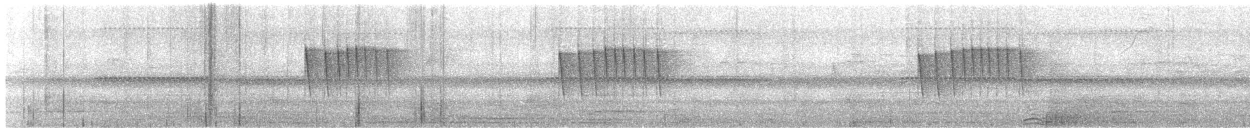 Gobemoustique à tête grise - ML20958551