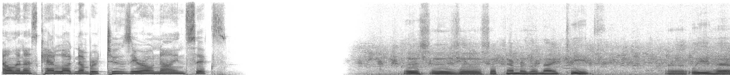 Kahnschnabelreiher [zeledoni-Gruppe] - ML2096