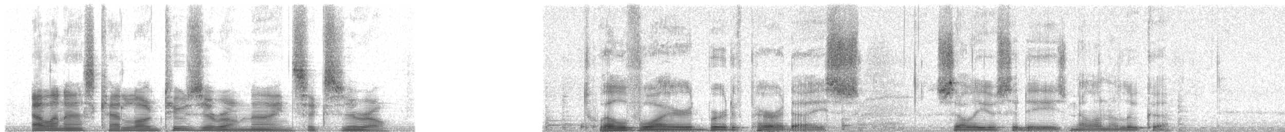 Paradisier multifil - ML20960