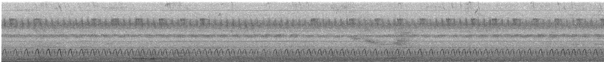 Slender-tailed Nightjar - ML209600661