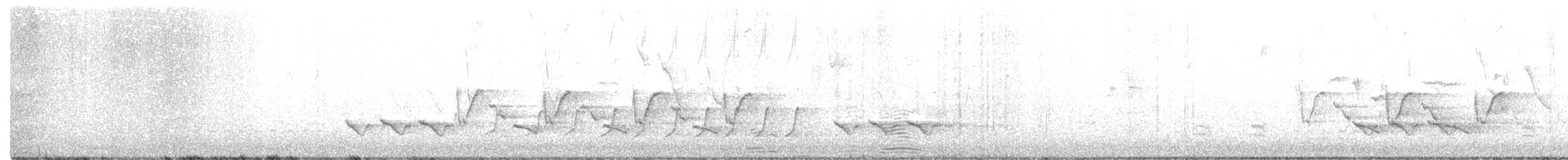 Carolina Wren - ML209623711